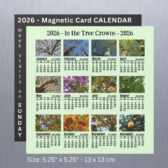 Inicio del domingo del calendario de árbol de foto (Subido por el creador)