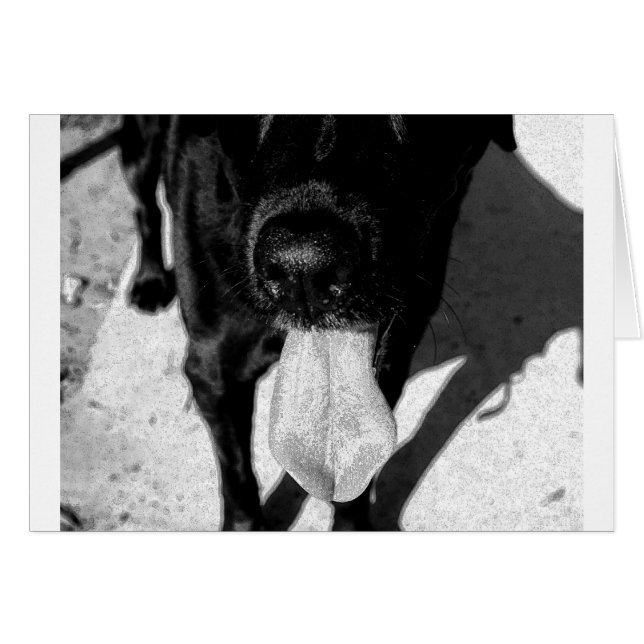 Inky Lulu (Anverso (Horizontal))