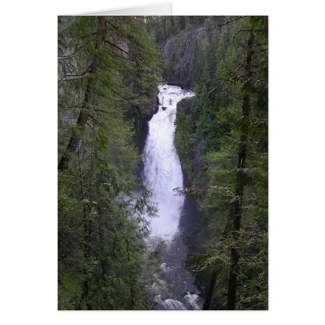 inmoralidad (Frente)