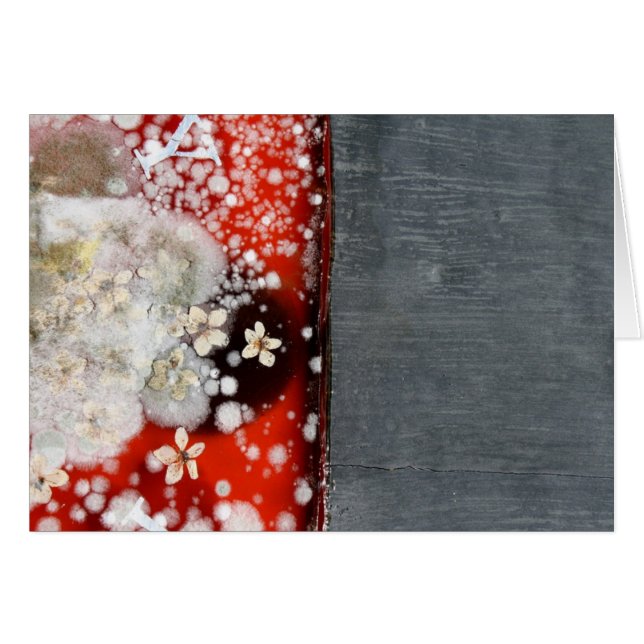 Inmortalidad 2 (Anverso (Horizontal))