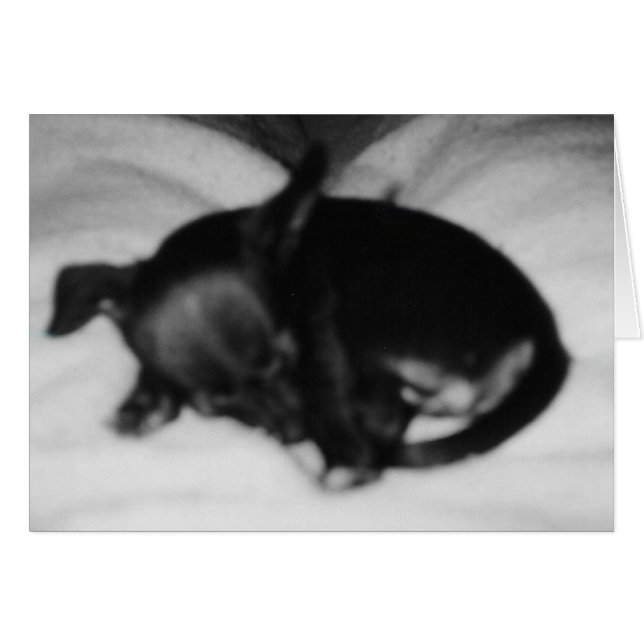 Inocencia el dormir (Anverso (Horizontal))