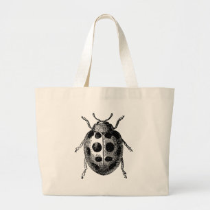 Insecto antiguo de la mariquita en la bolsa de