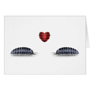 Insecto de cerda Luv (deja el rollo Togeather)