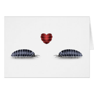 Insecto de cerda Luv (deja el rollo Togeather)