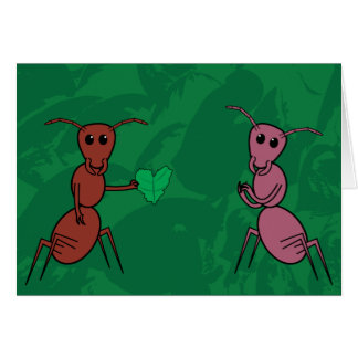Insecto del amor