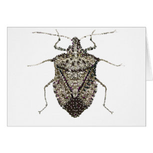 insecto del hedor