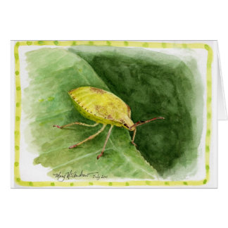 Insecto verde claro del hedor