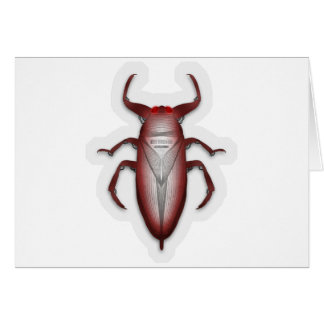 Insectos en el código…