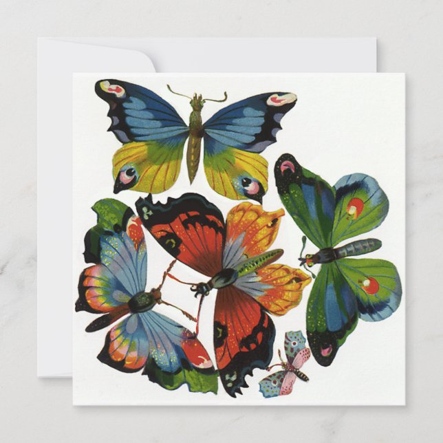Insectos o insectos vintage, mariposas hermosas (Anverso)