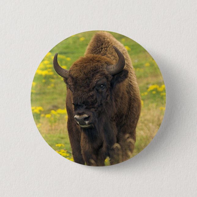 Insignia del botón Bison (Anverso)