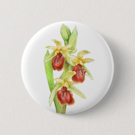 Insignia del botón del arte de la acuarela de arañ