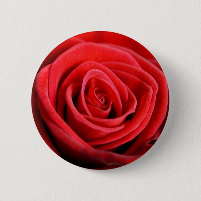Insignia del botón del primer del rosa rojo (Anverso)