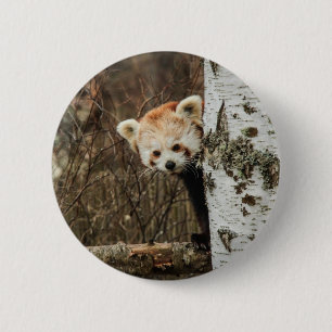 Insignia del botón Panda rojo