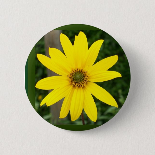 Insignia o botón de girasol (Anverso)