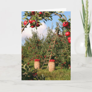 Inspiraciones naturales Tarjetas de felicitación A