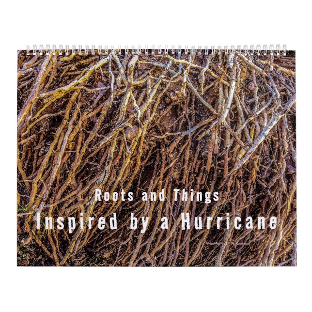 Inspirados por un calendario de huracanes (Tapa)