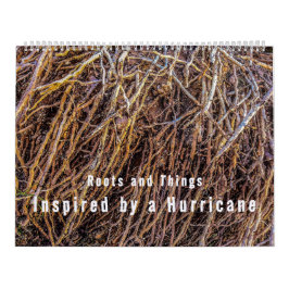 Inspirados por un calendario de huracanes