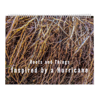 Inspirados por un calendario de huracanes