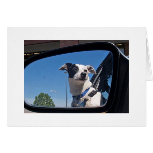 INTENCIÓN (Anverso (Horizontal))