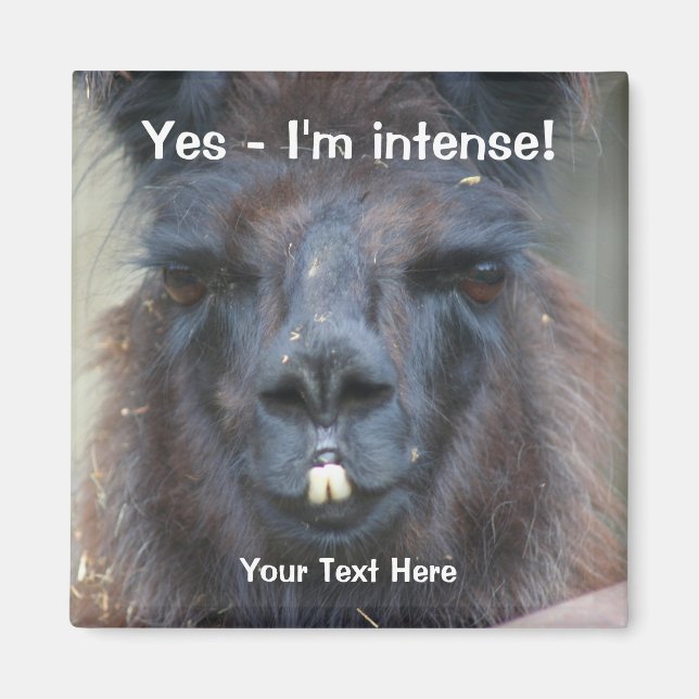 Intensa Llama Negra divertida en el imán animal (Frente)