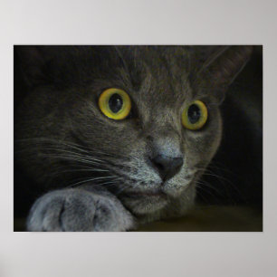 Intensidad de impresión