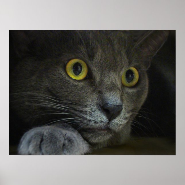 Intensidad de impresión (Frente)