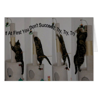 Intentar hasta que puedas