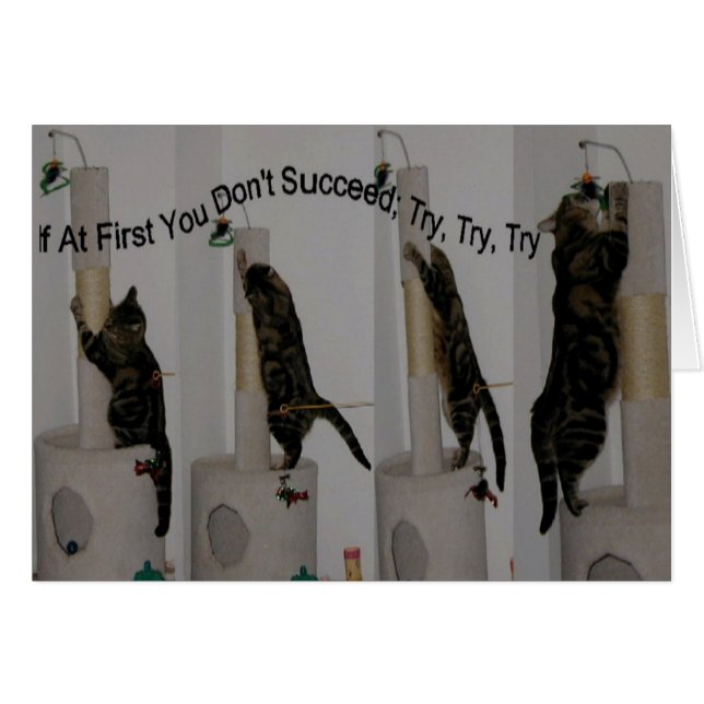 Intentar hasta que puedas (Anverso (Horizontal))