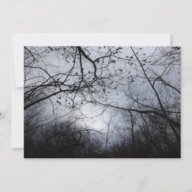 Interconectado (Anverso)