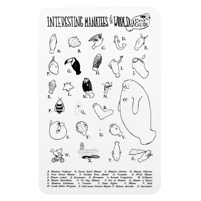 Interesante imán de Manatees (Vertical)