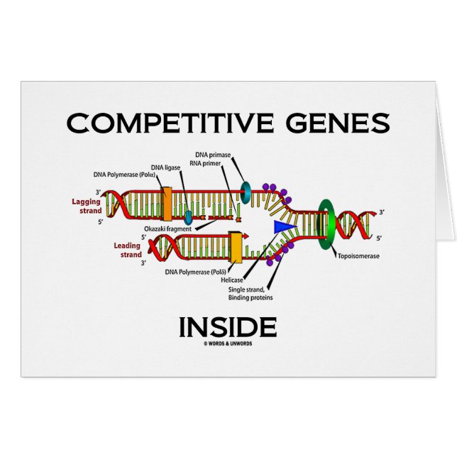 Interior competitivo de los genes (réplica de la (Anverso (Horizontal))