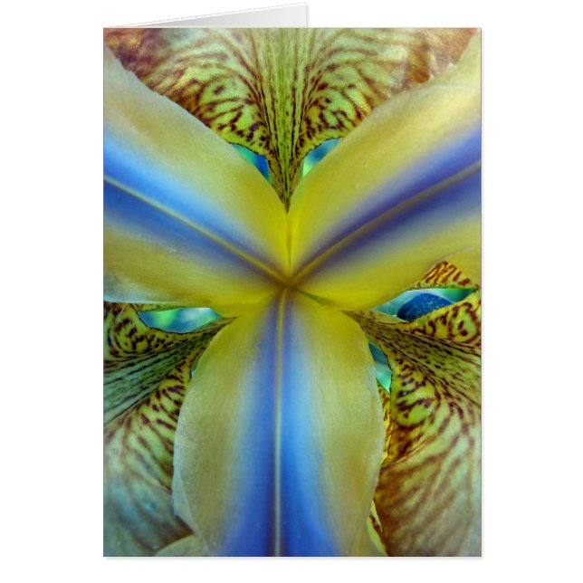 Interior de Iris (Frente)