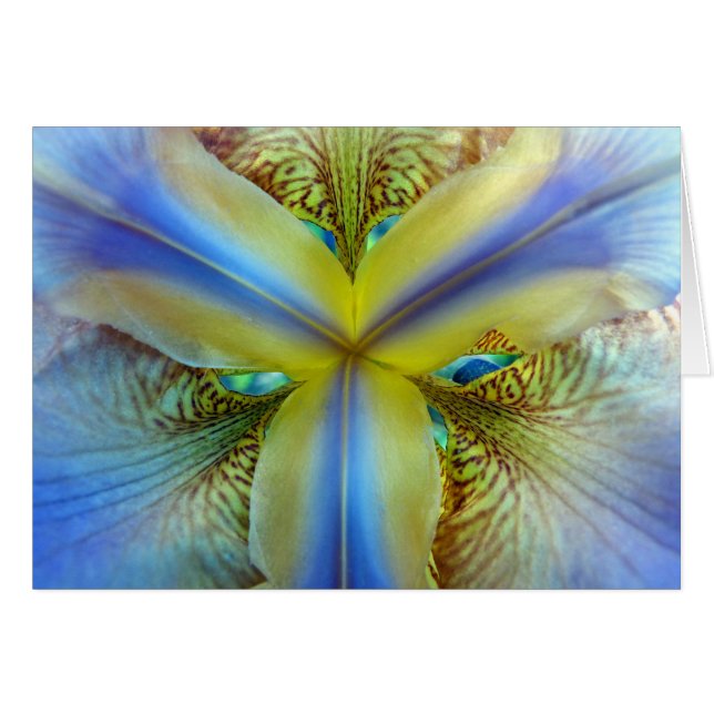 Interior de Iris (Anverso (Horizontal))