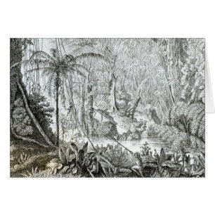 Interior de un bosque primitivo en los Amazonas