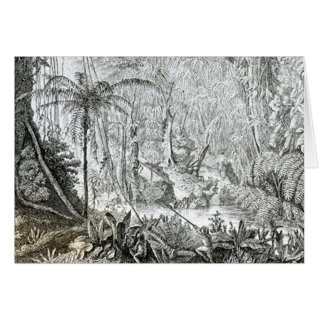 Interior de un bosque primitivo en los Amazonas (Anverso (Horizontal))