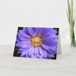 Interior En Blanco Bonito Morado Floral Elegante D