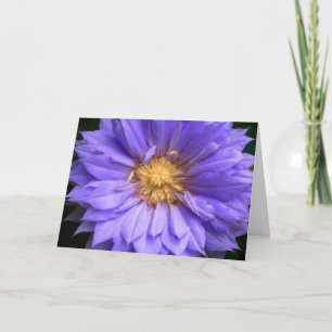 Interior En Blanco Bonito Morado Floral Elegante D