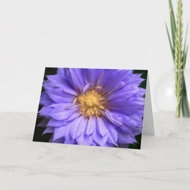 Interior En Blanco Bonito Morado Floral Elegante D (Anverso)