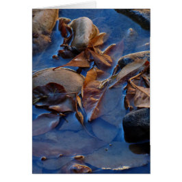 Interior en blanco, hojas