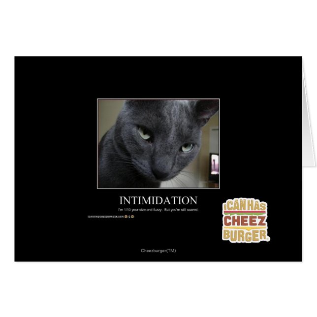 Intimidación (Anverso (Horizontal))