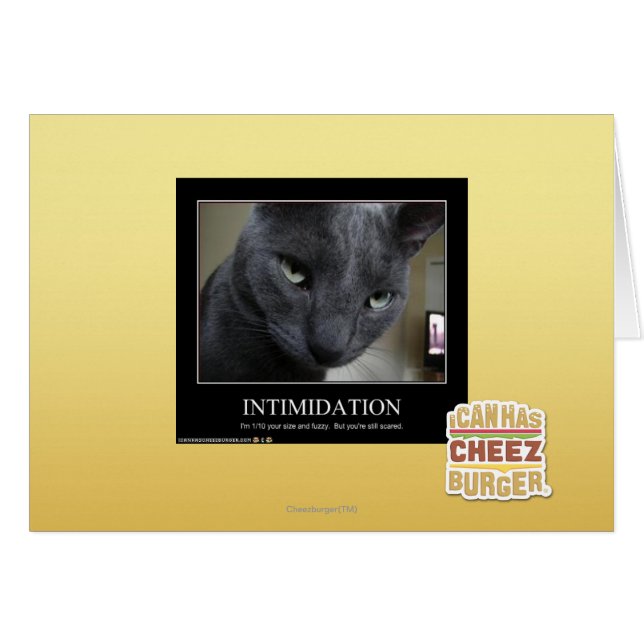 Intimidación (Anverso (Horizontal))