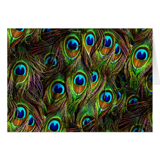 Invasión de Peacock Feathers (Anverso (Horizontal))