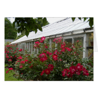 Invernadero de los rosas rojos