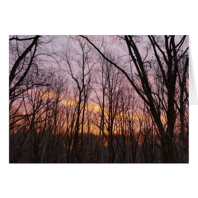 Invernadero II (Anverso (Horizontal))