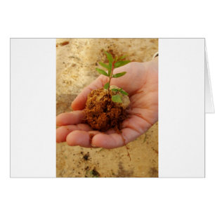 Inversión para el crecimiento