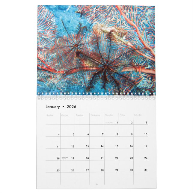 Invertebrados del Calendario Calender de Fiji 2020 (Jan 2026)