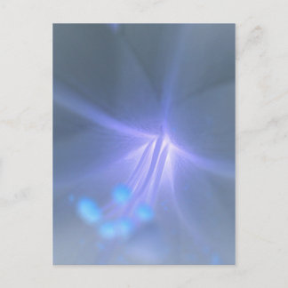 Invertir la postal de Lily