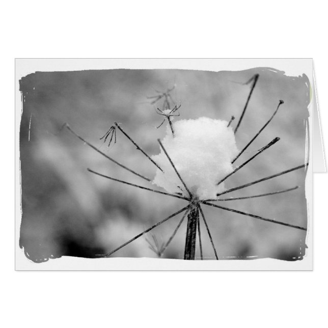 Invierno (Anverso (Horizontal))