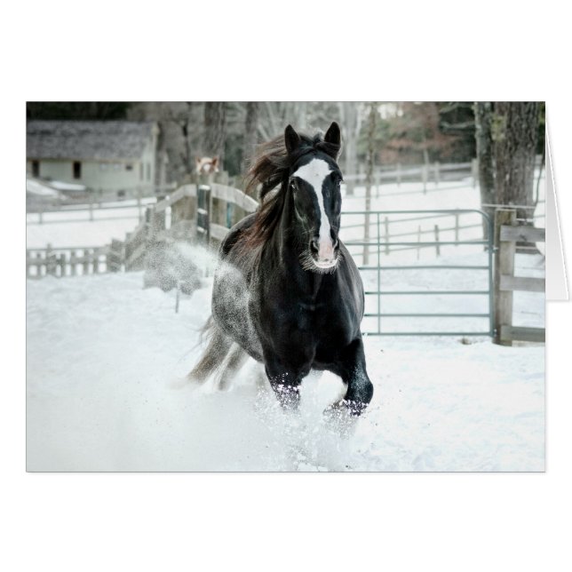 Invierno corriente de Brenda Lee (Anverso (Horizontal))