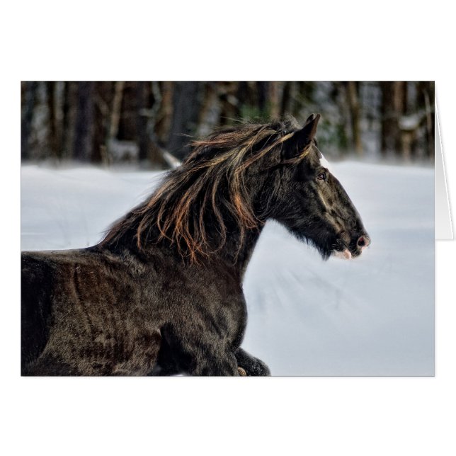 Invierno de Brenda Lee (Anverso (Horizontal))